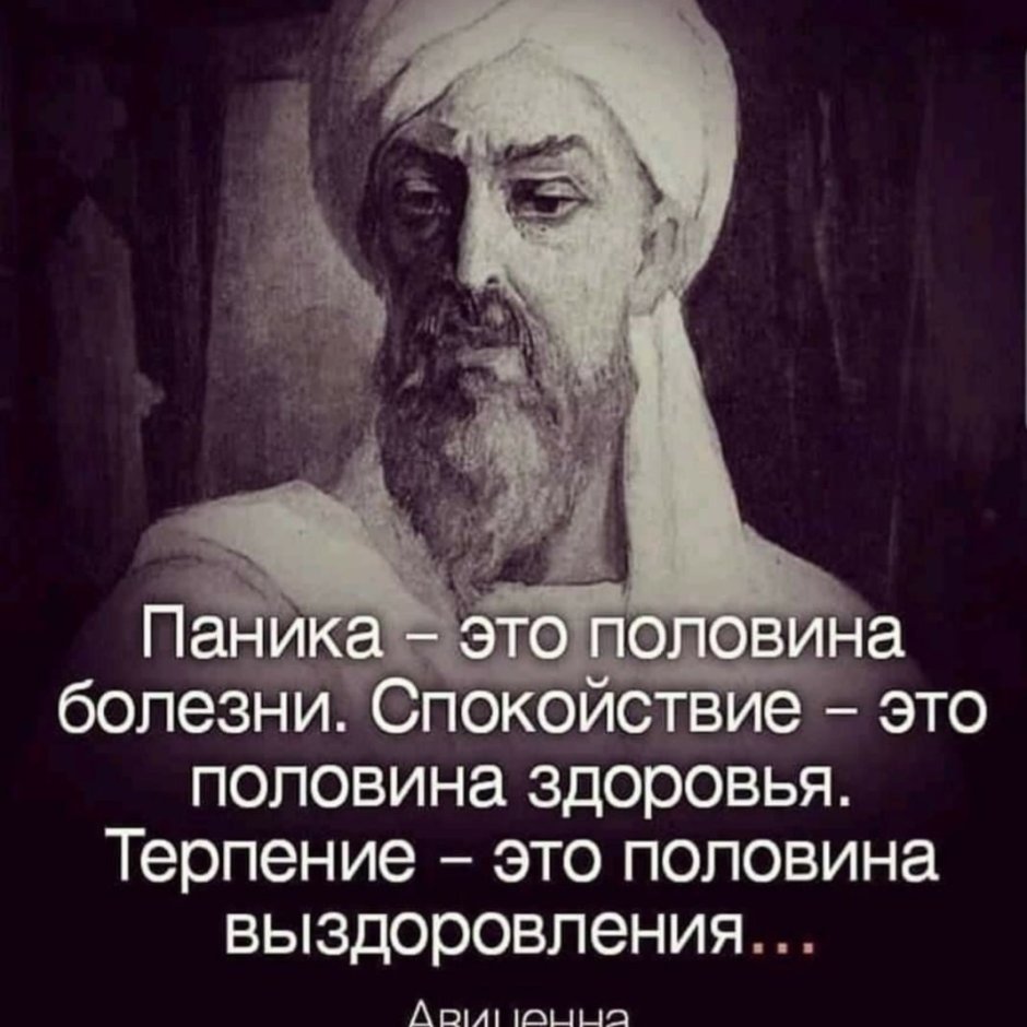 Ибн сина Авиценна, марка