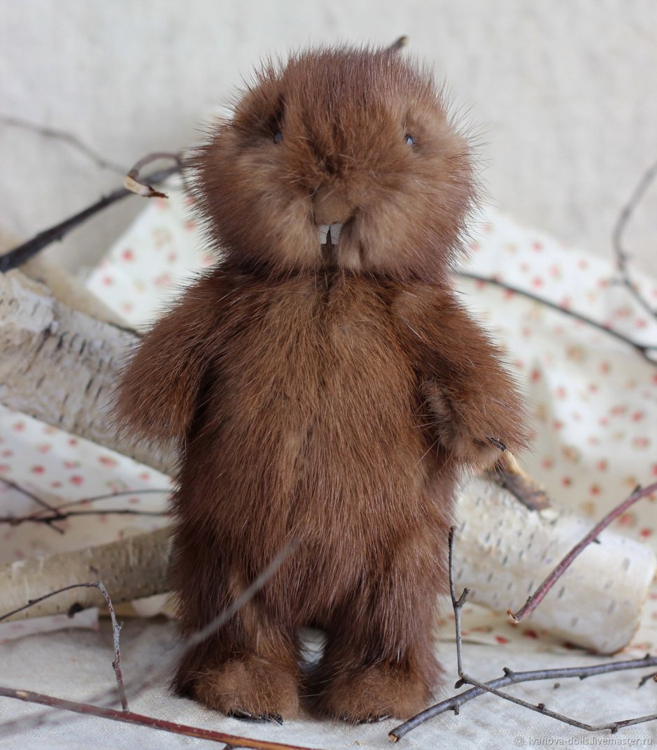 Бобриха с бобренком