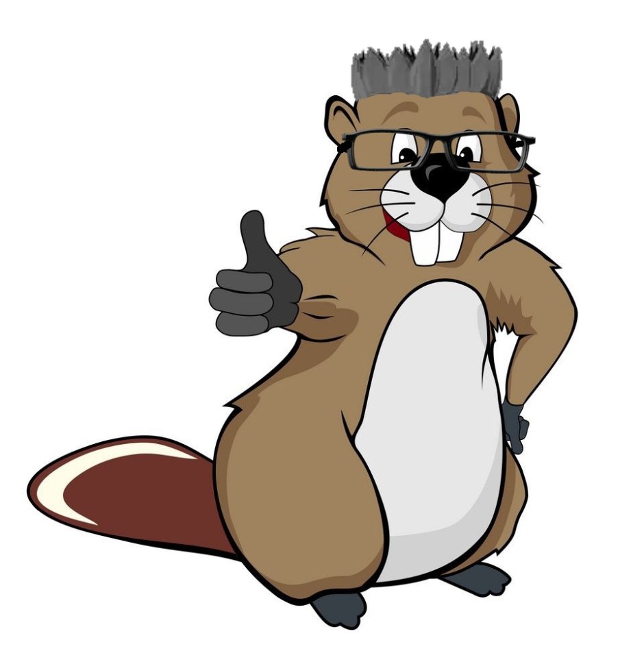 Новорождённые бобрята