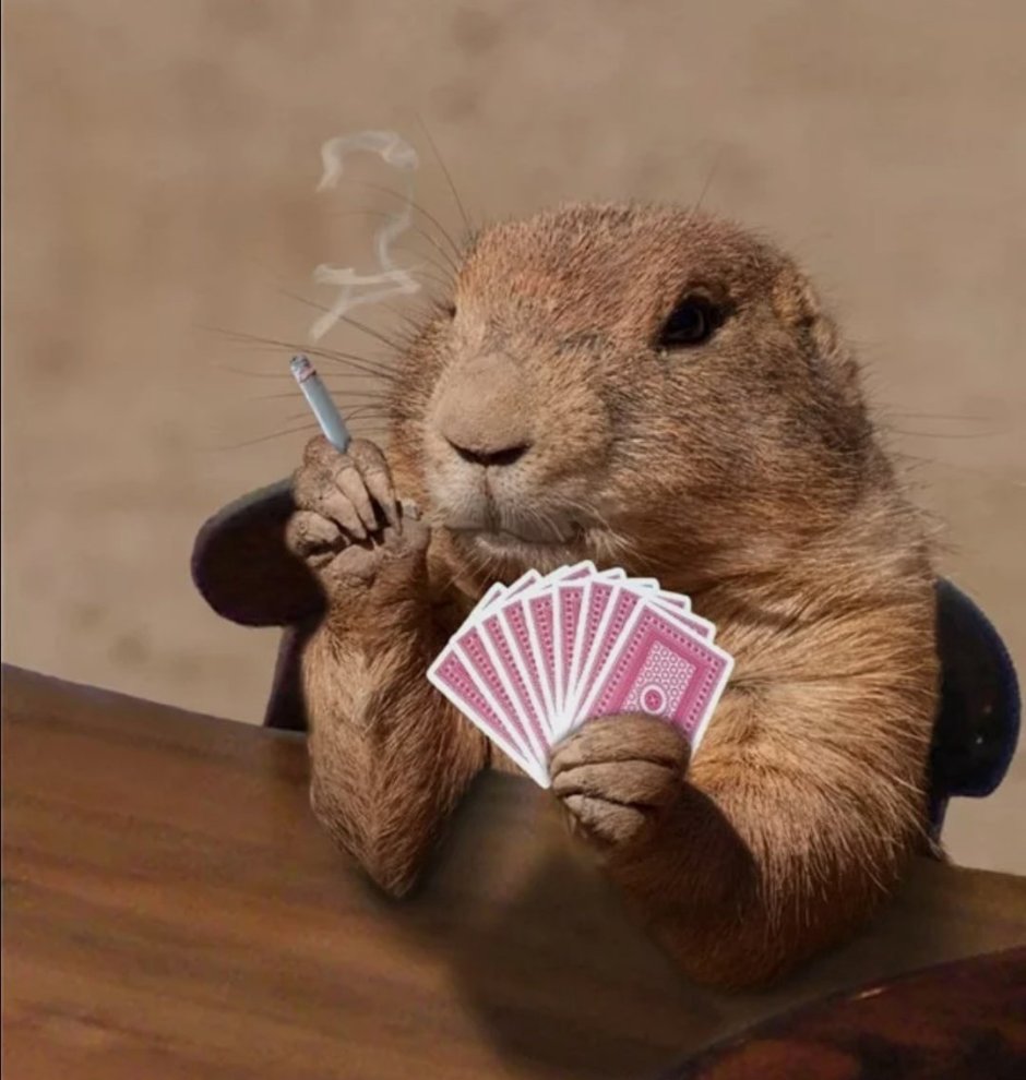 Анти бобрята