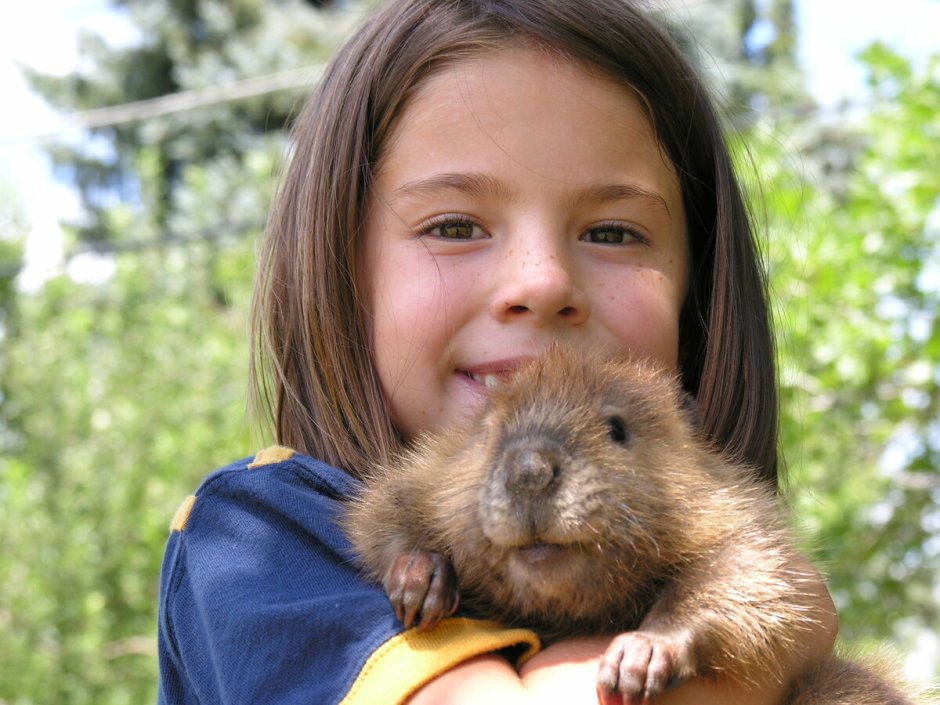 Бобриха с бобренком