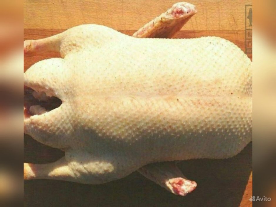 С днем рождения Гусь