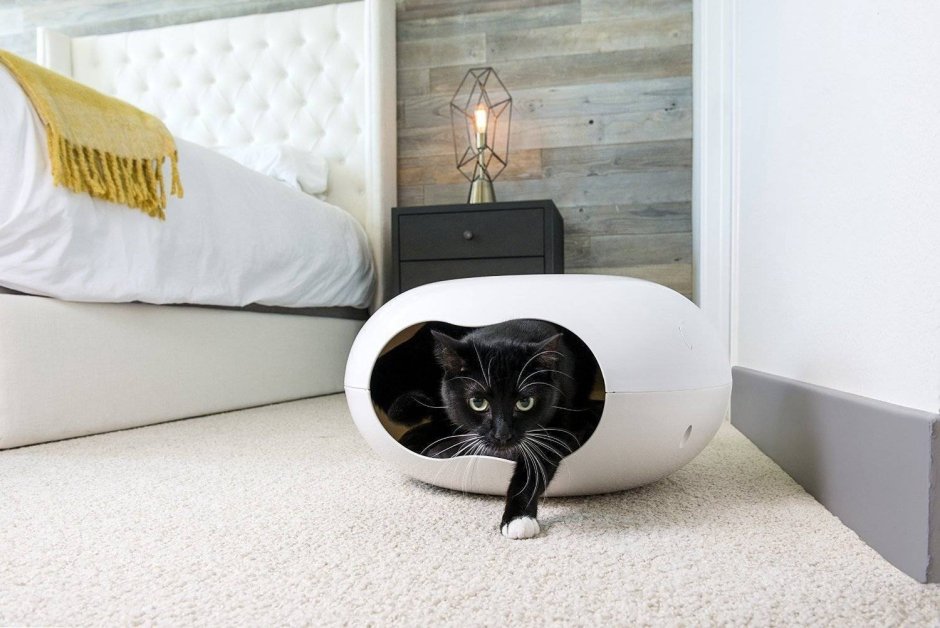 Котик в интерьере