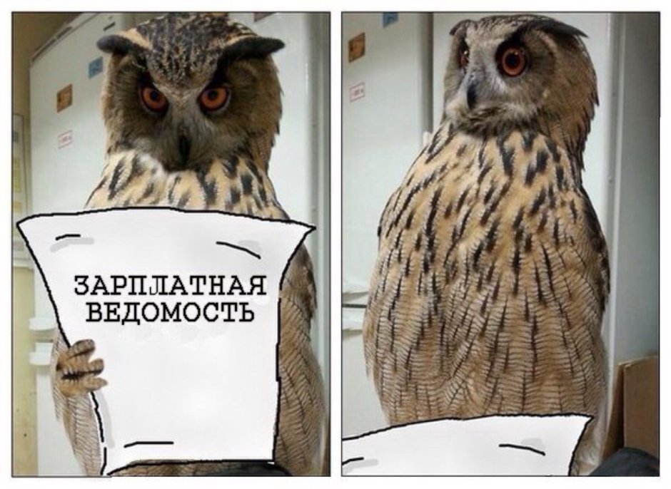 Макияж Совы