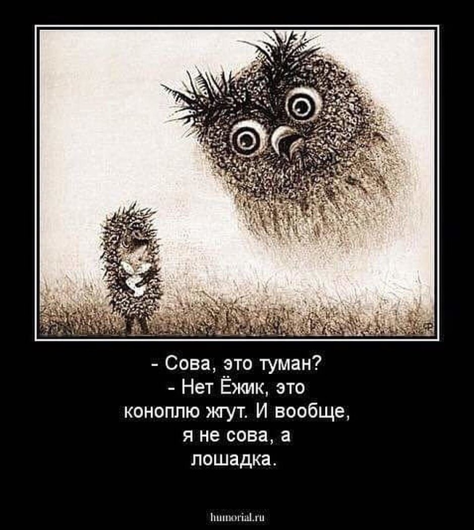 Стих про сову