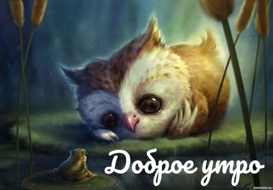 Злой Филин