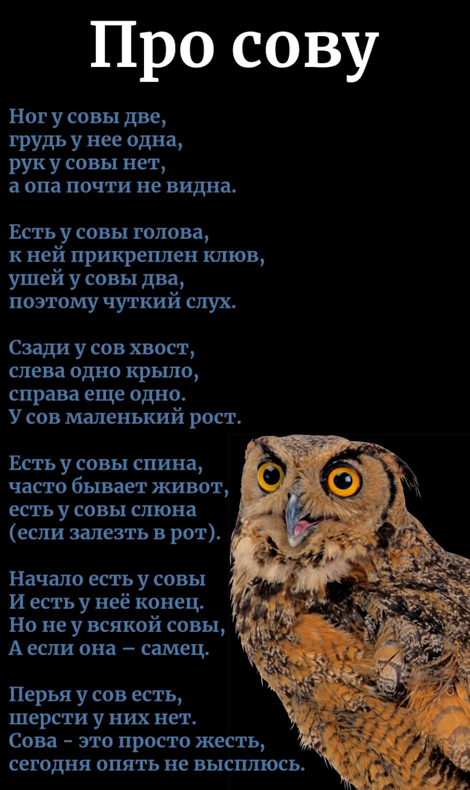 Совиные брови