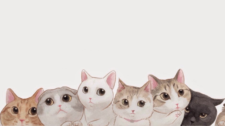 Фон кошки