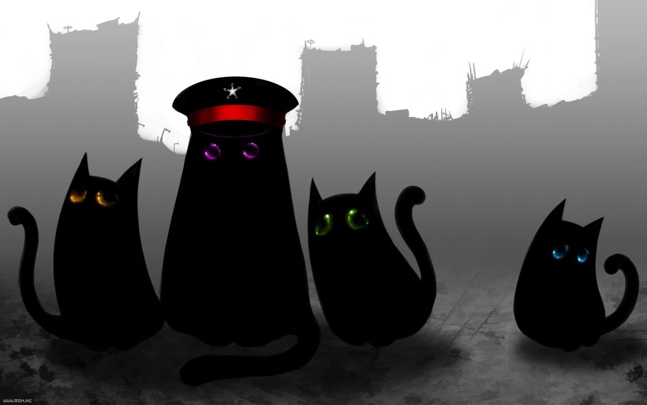 Кормление кошек на улице