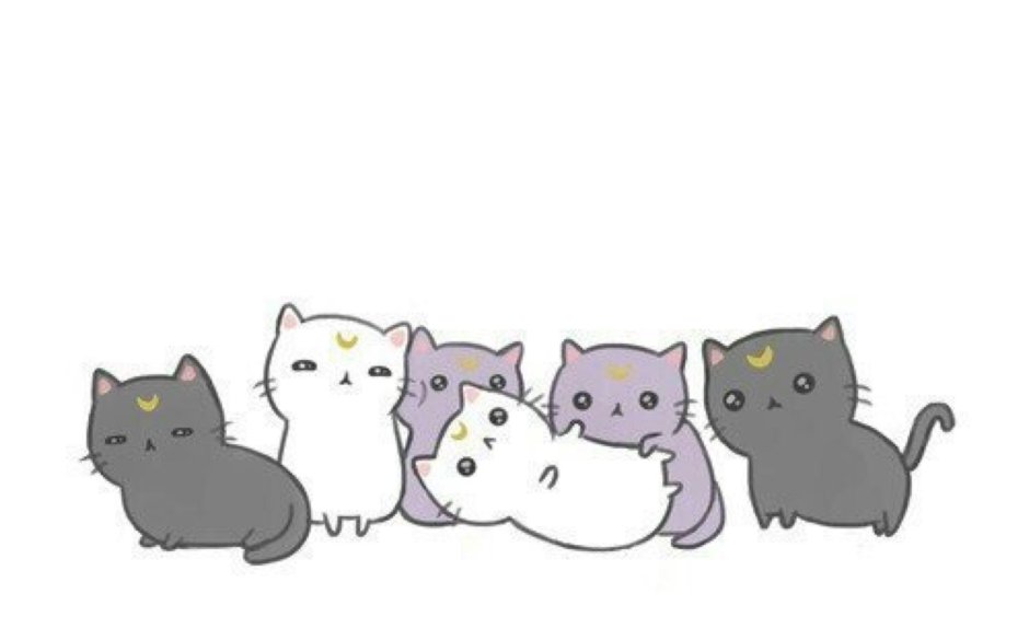 Смешные котята