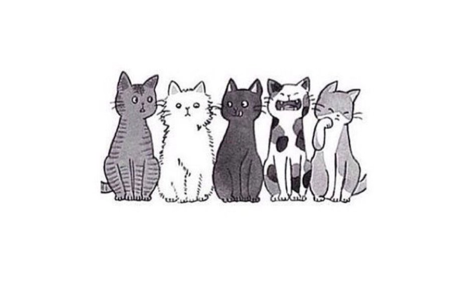 Котик арт на белом фоне