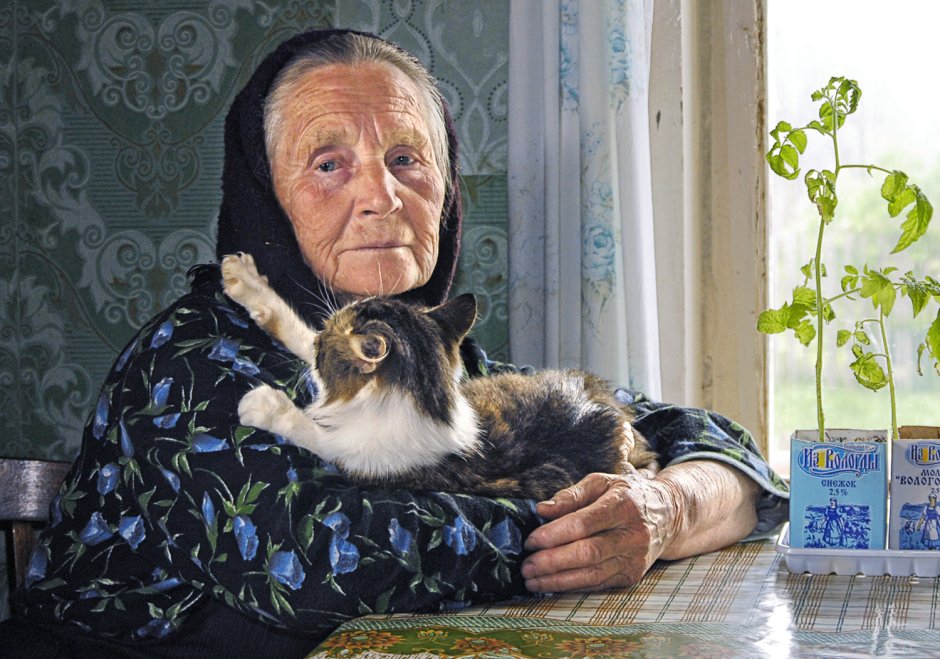 Котенок в деревне