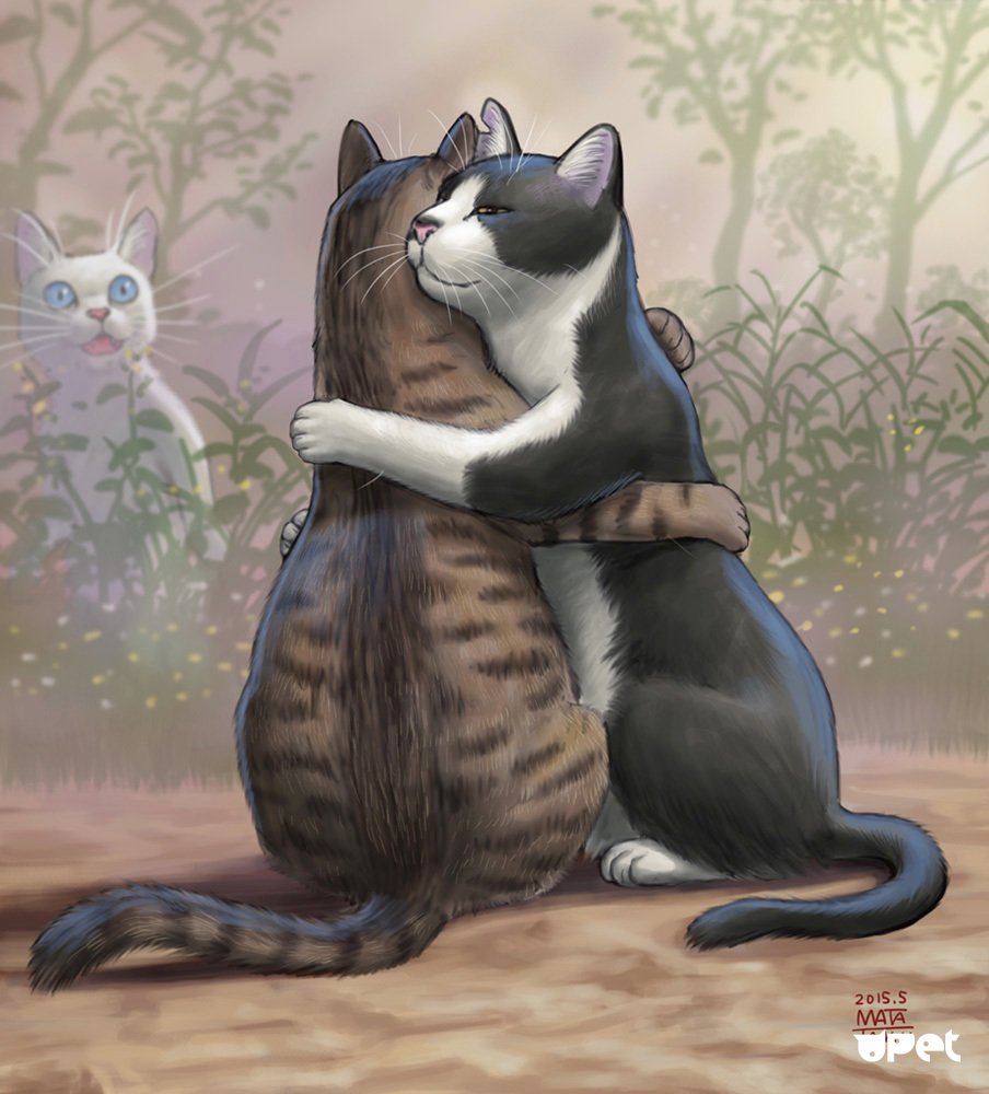 Котики обнимаются