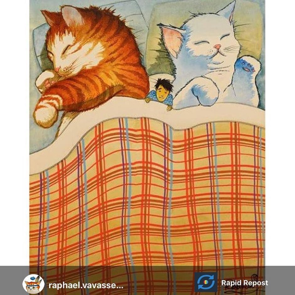 Кот спит иллюстрация