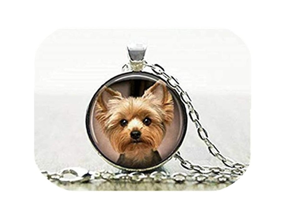 Карликовый Йоркширский терьер