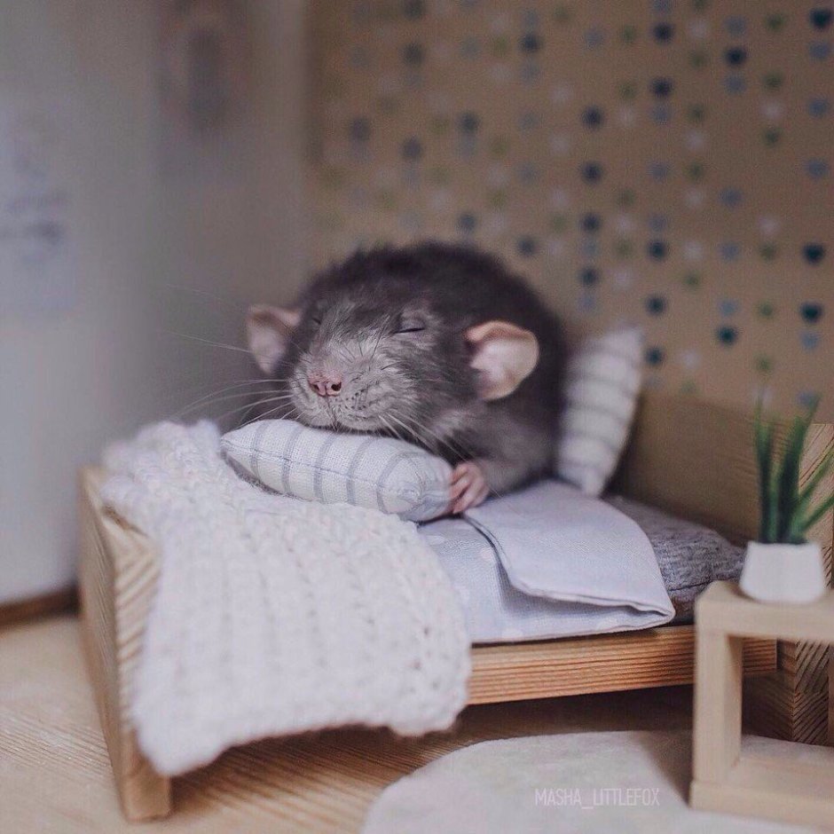 Милое стеснение