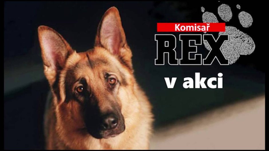 Санто фон Хаус Цигельмайер