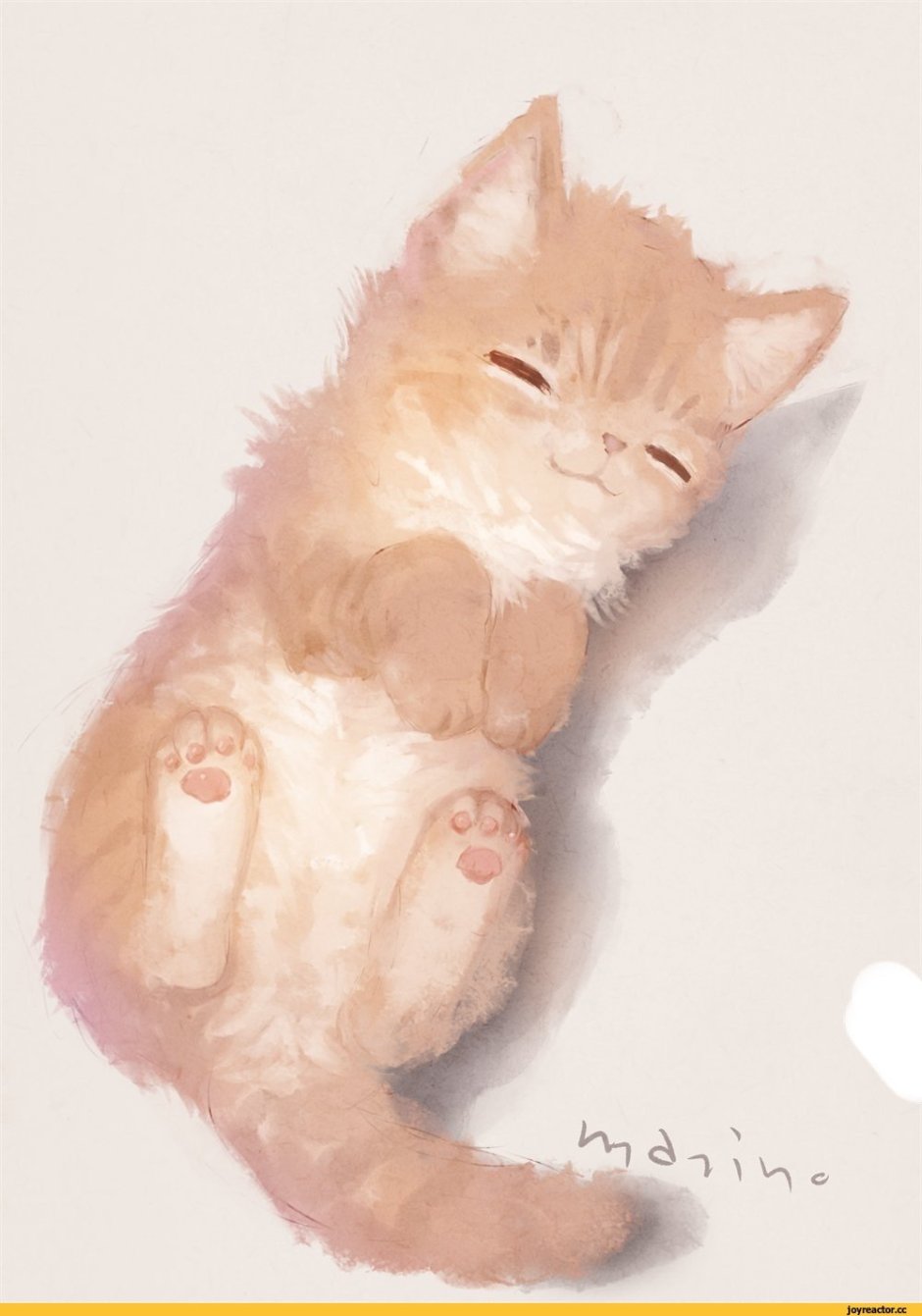 Коты сохраненки