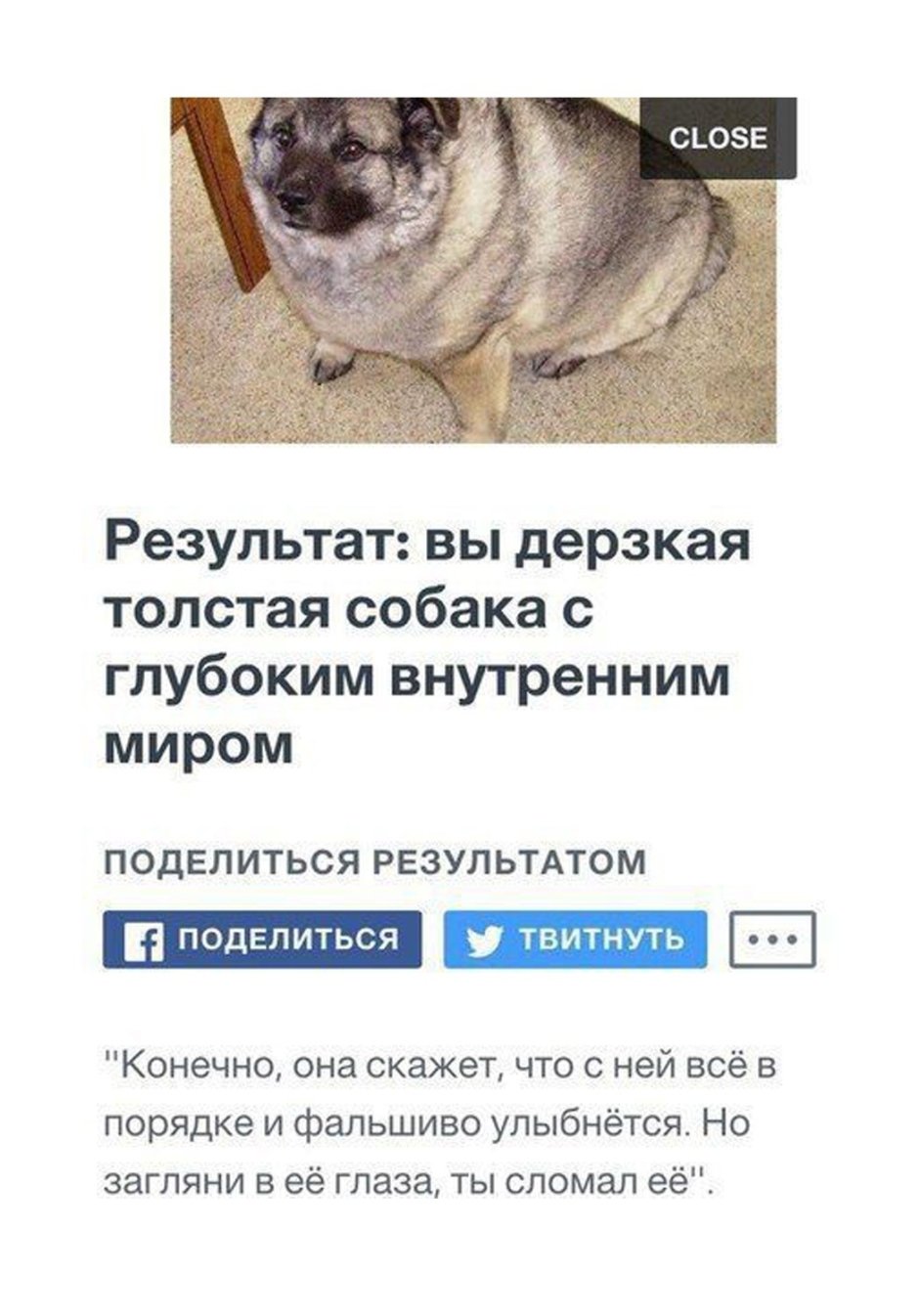 Жирный волк