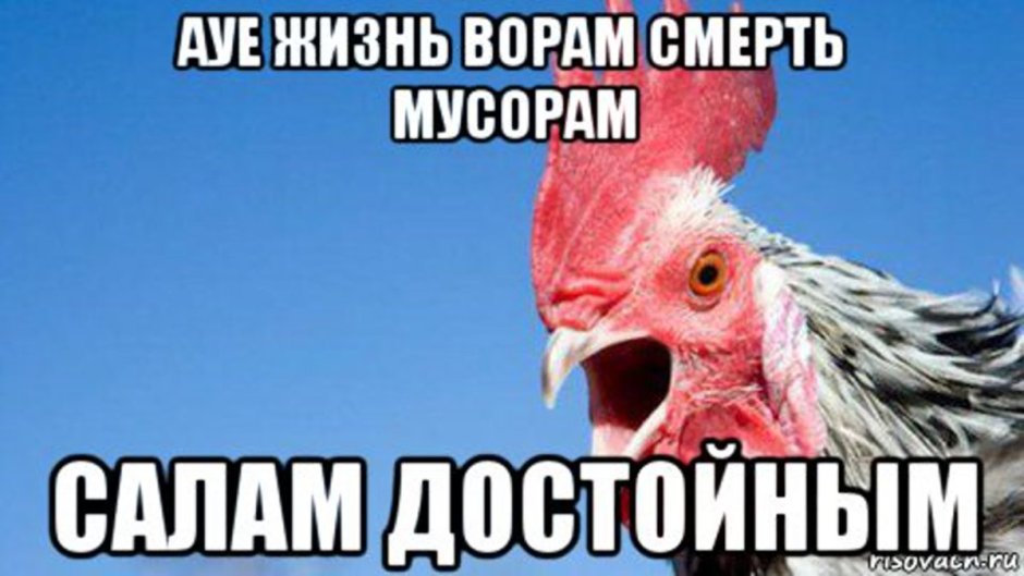 Жизнь ворам смерть мусорам