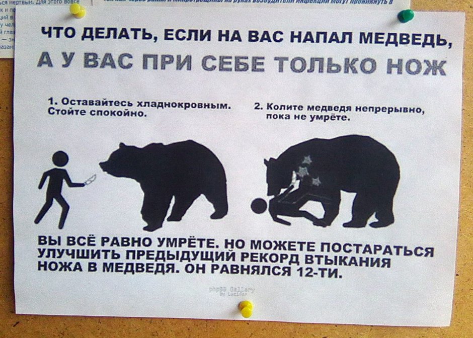 Если встретил медведя