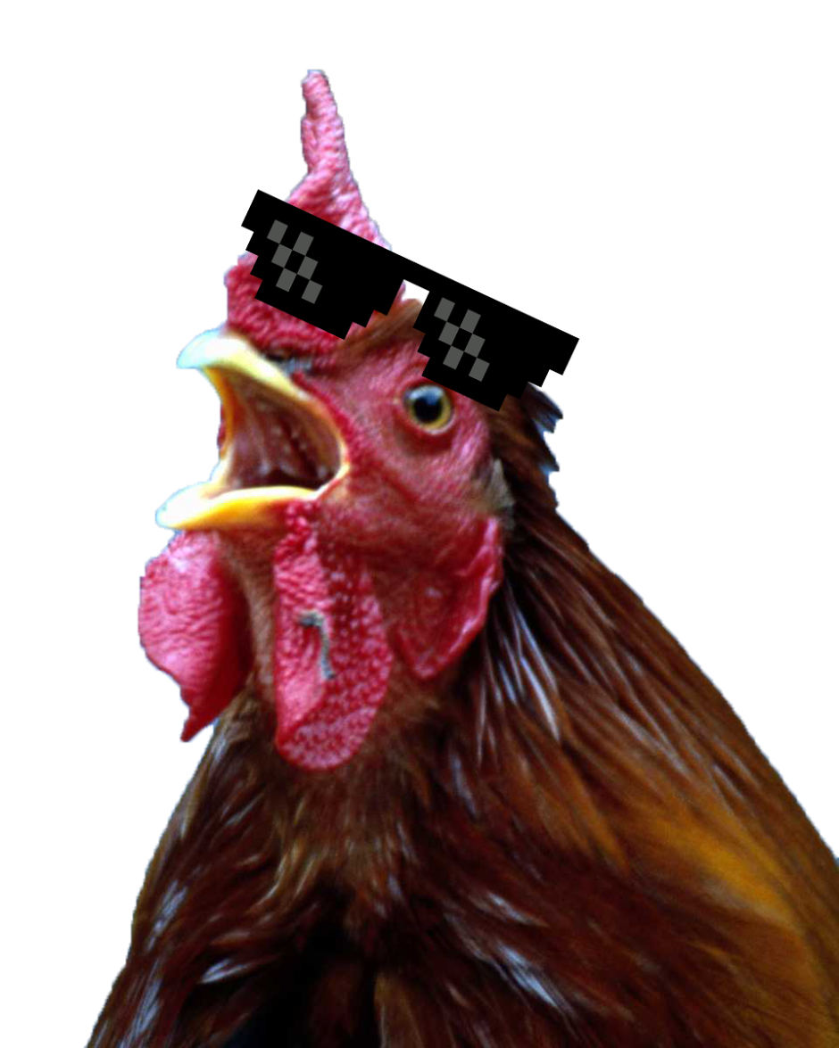 Курица кричит
