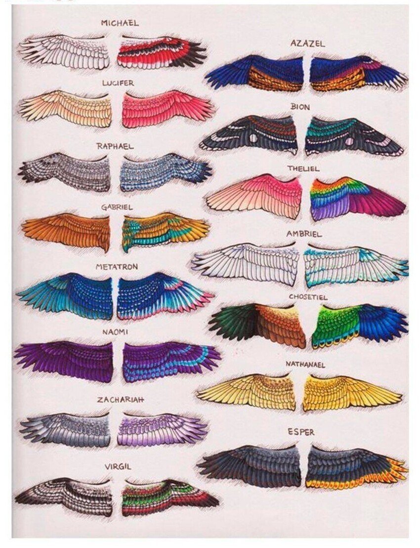 Цвета крыльев ангелов