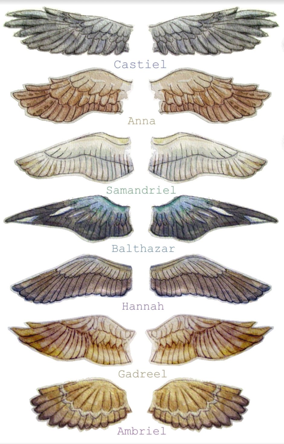 Крылья ангелов референс