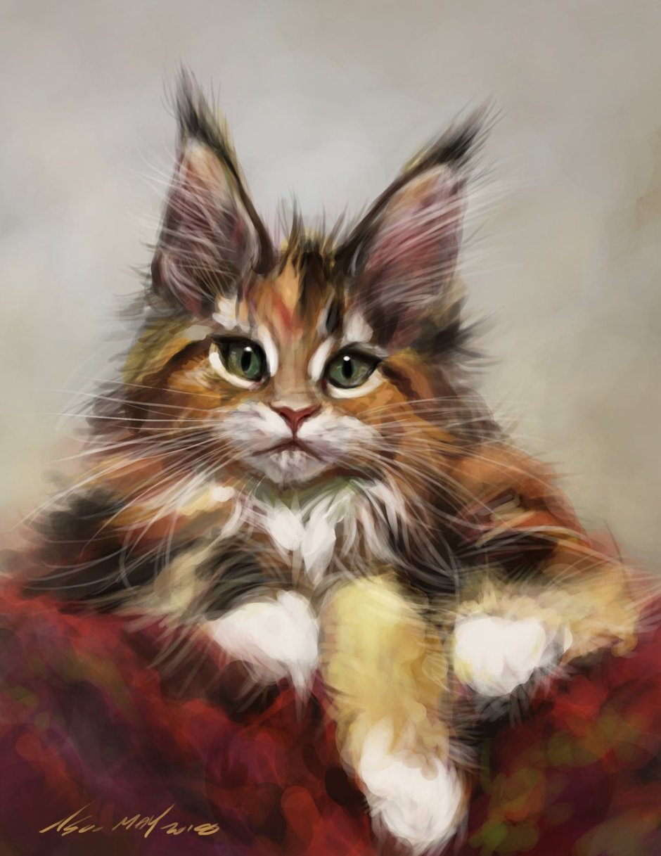 Кот Мейн кун арт