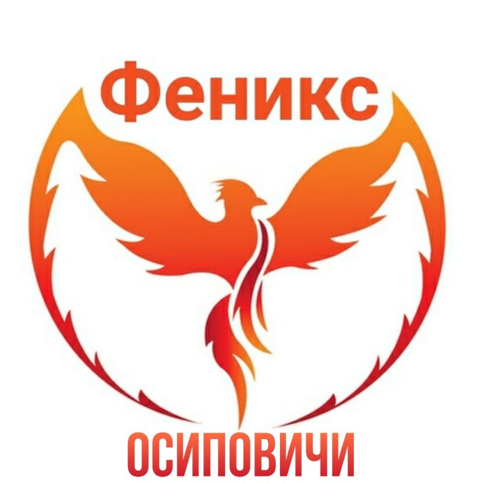 Отряд Феникс