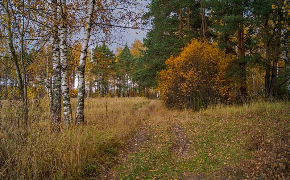 Озеро Лебяжье Оренбург