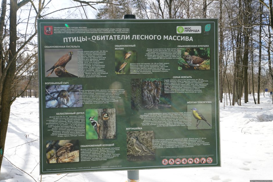 Кожино Московская область осень