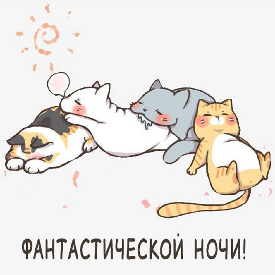 Милые котики софт