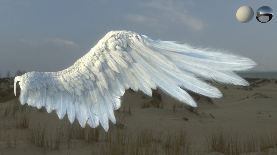 Белые Крылья