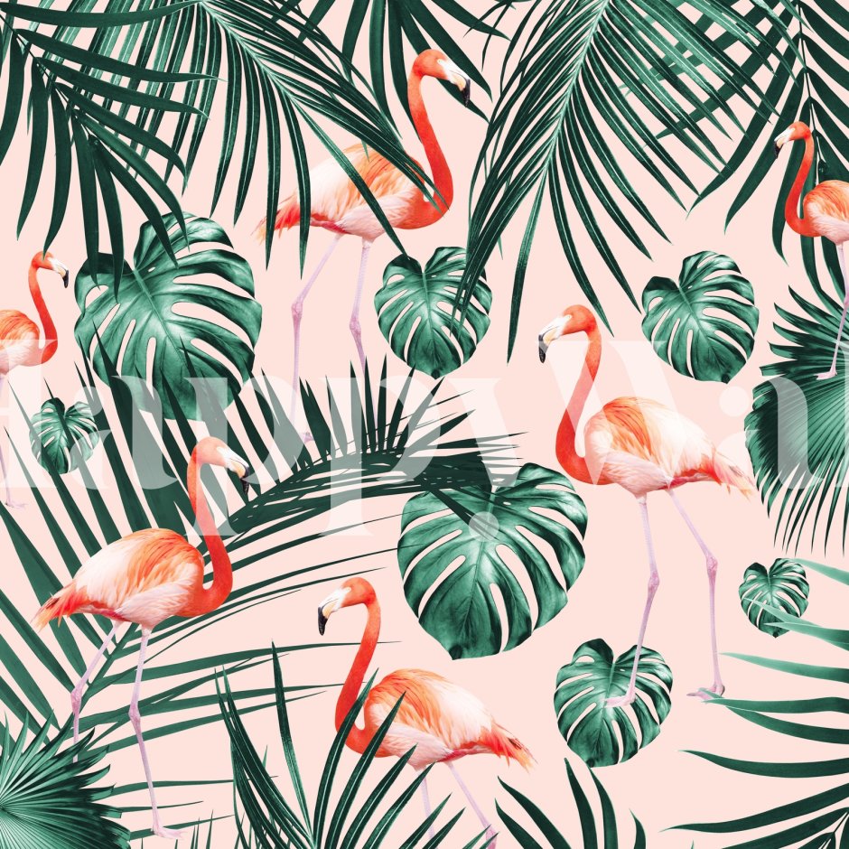 Tropical Flamingo
