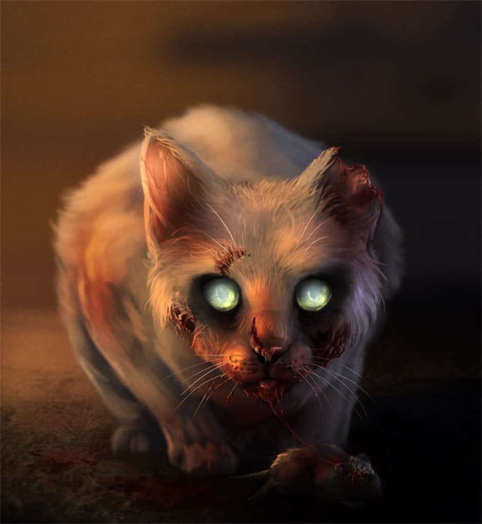 Кот дьявол