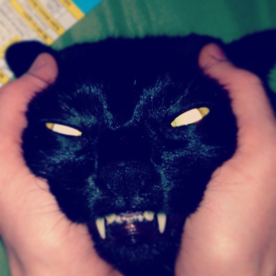 Дьявольская кошка