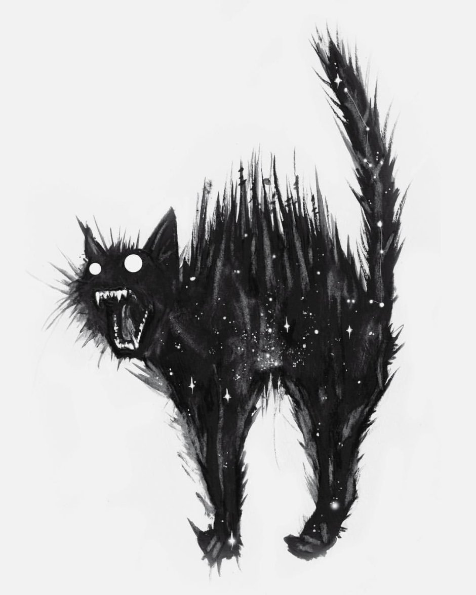 Страшные черные коты
