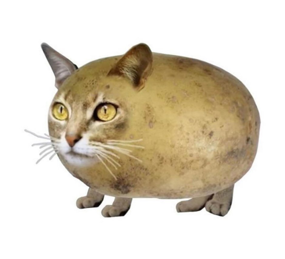 Ровная осанка