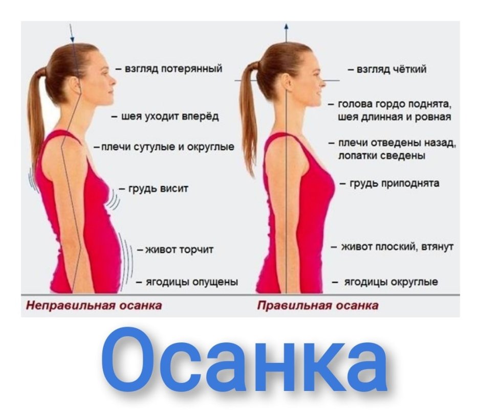 Кот за компьютером