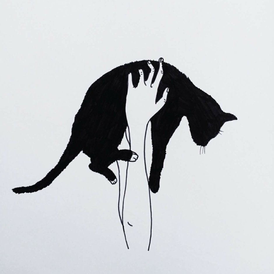 Коты Воители позы референс