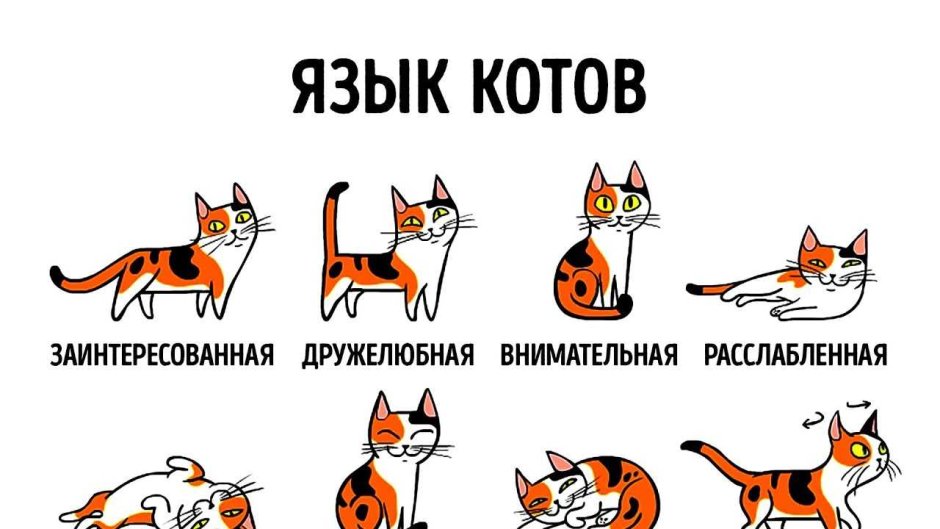Персонажи ОС Мифические существа