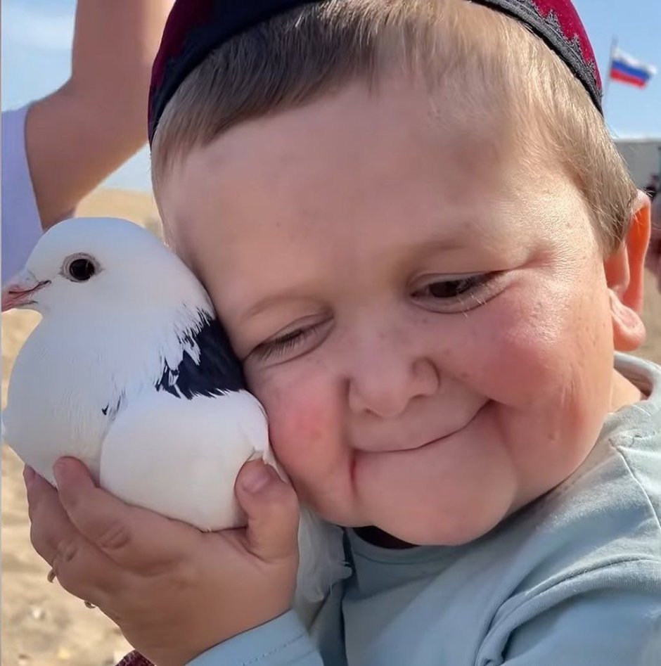 Глаз голубя