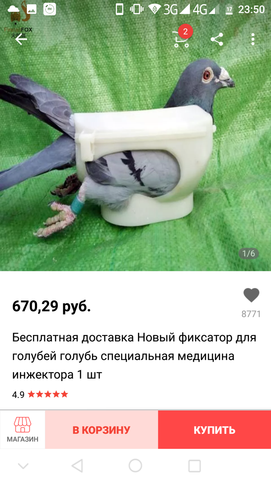 Трусы для голубя