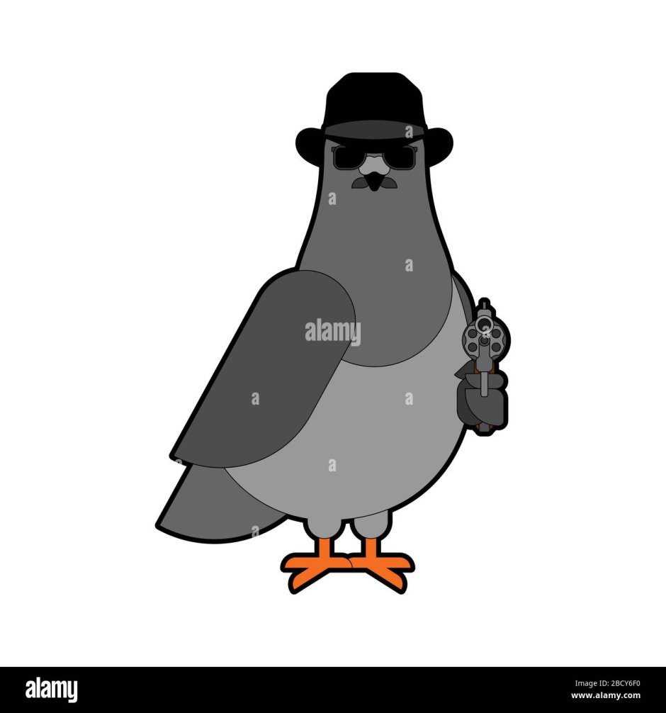 Голубь с пистолетом