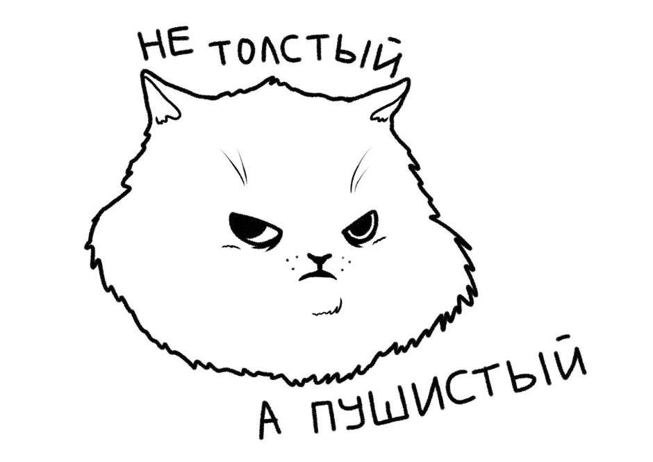 Злой жирный кот
