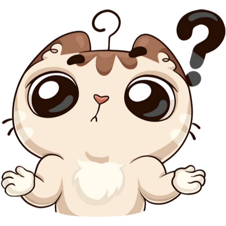 Стикеры ВК котик