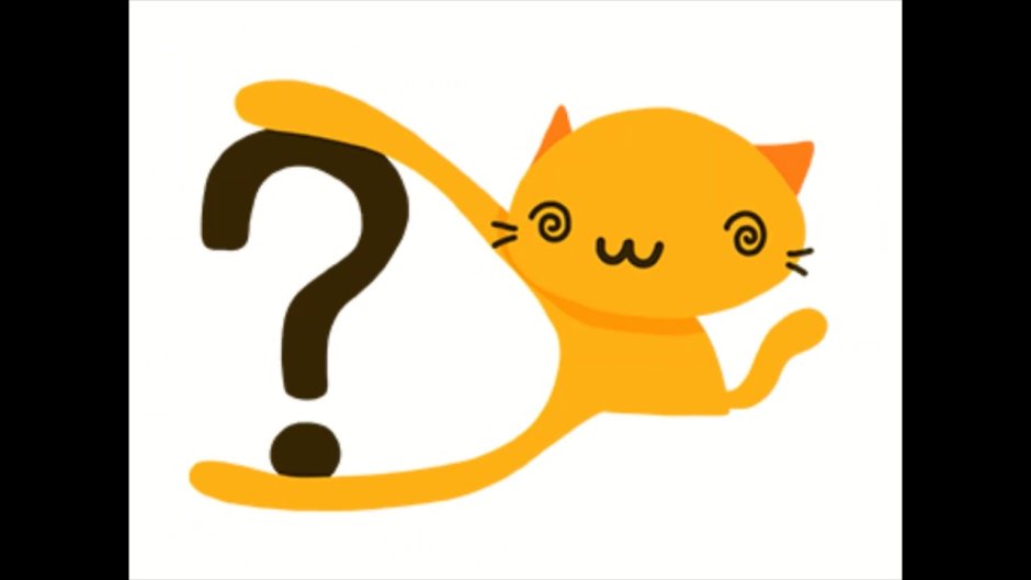 Кот вопрос