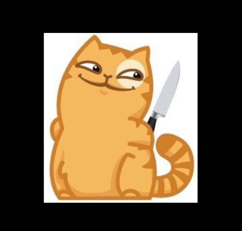 Кот персик в коробке