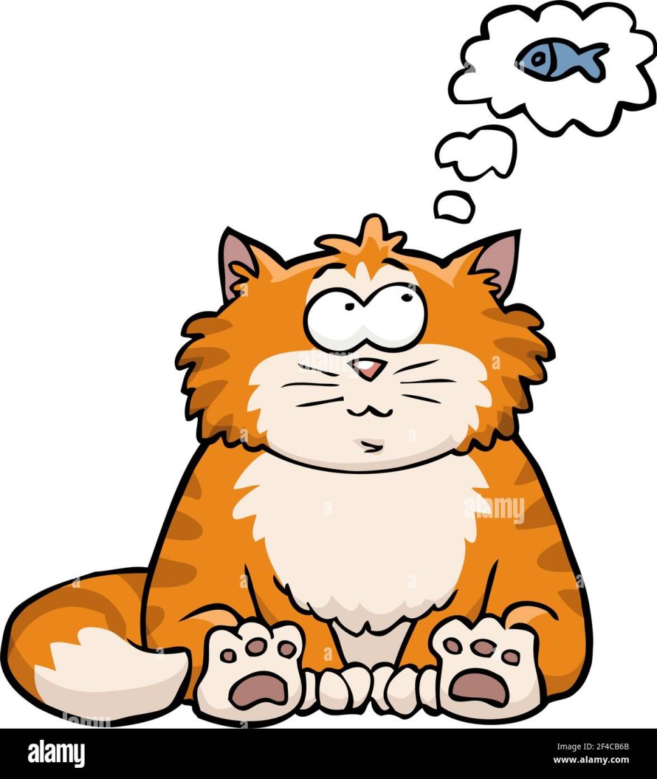 Котик думает о рыбке
